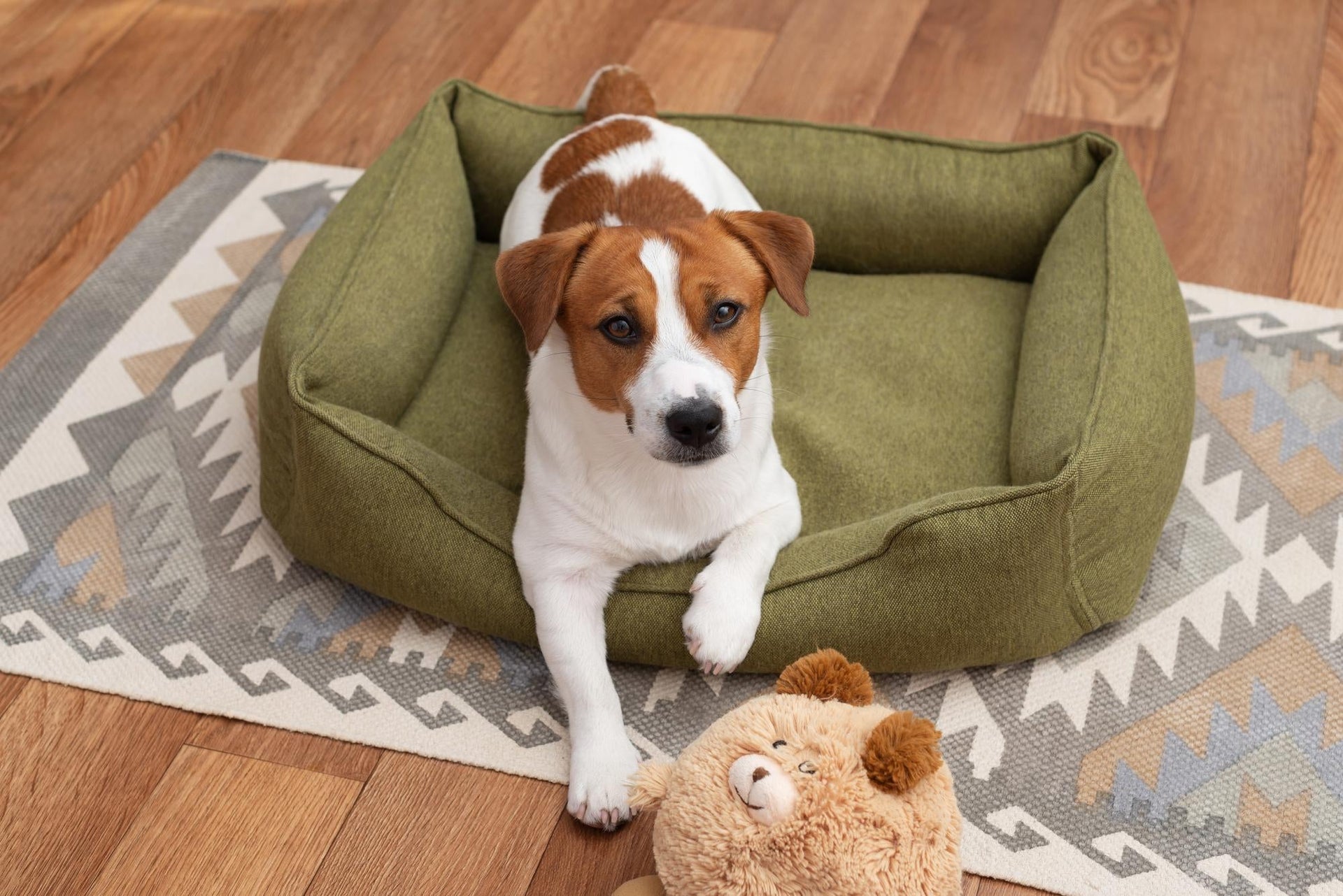 How to Choose the Perfect Pet Bed: Comfort Meets Care