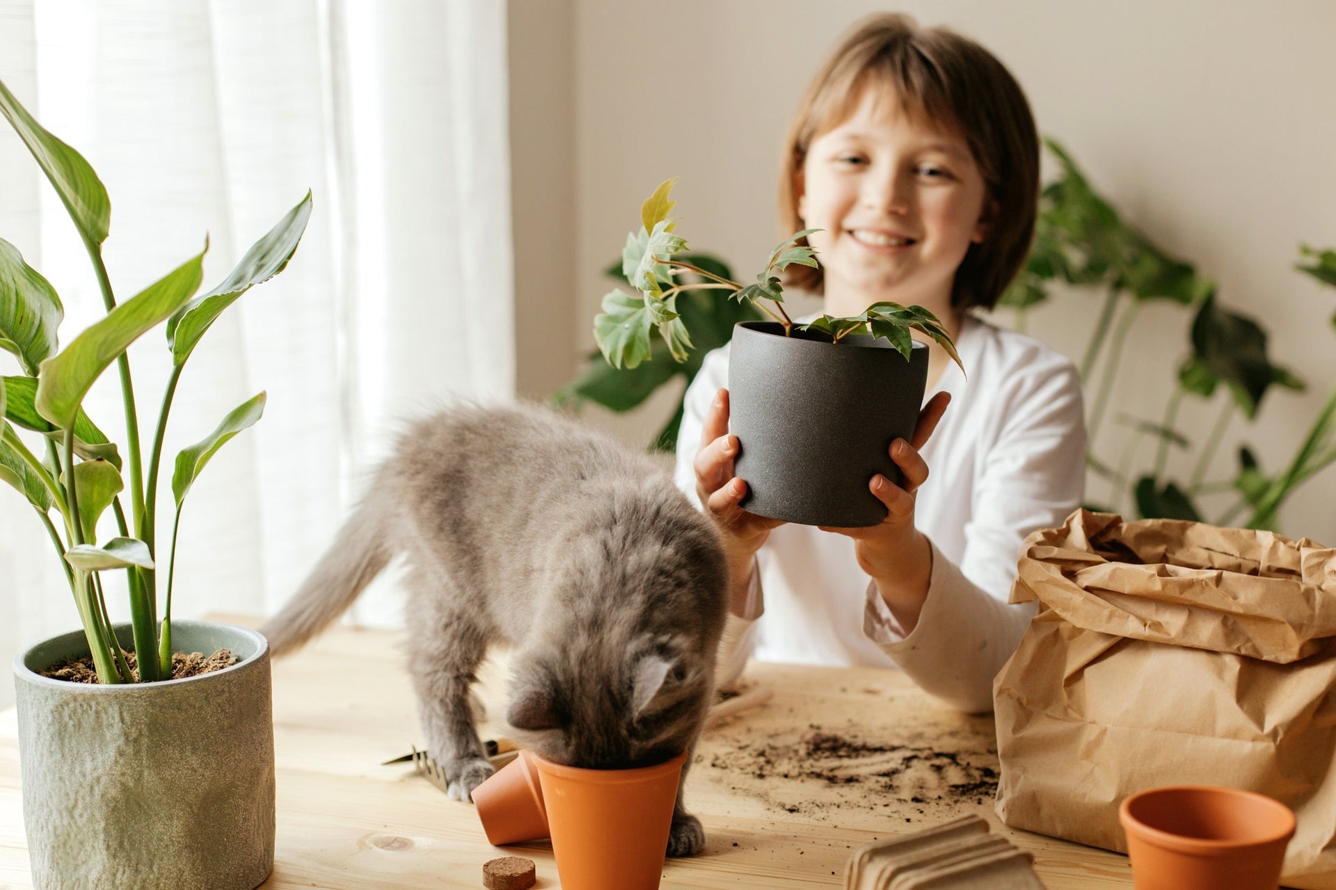 The Ultimate Guide to Eco-Friendly Pet Products