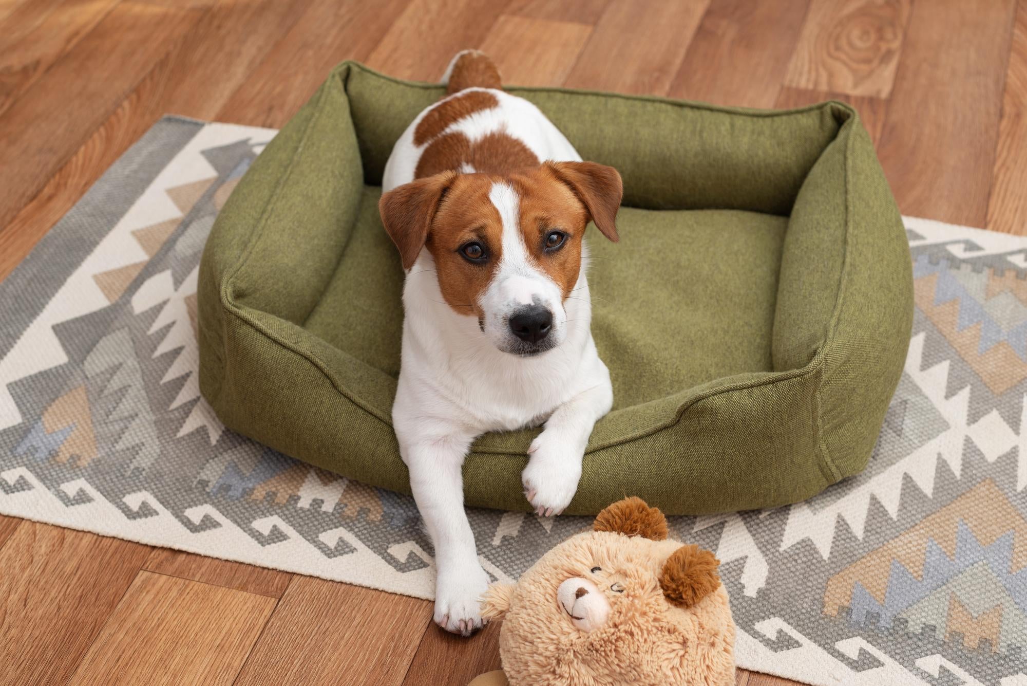How to Choose the Perfect Pet Bed: Comfort Meets Care