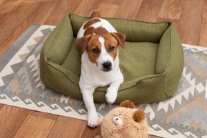 How to Choose the Perfect Pet Bed: Comfort Meets Care