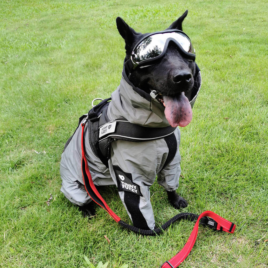 Waterproof Cool Dog Rain Coat