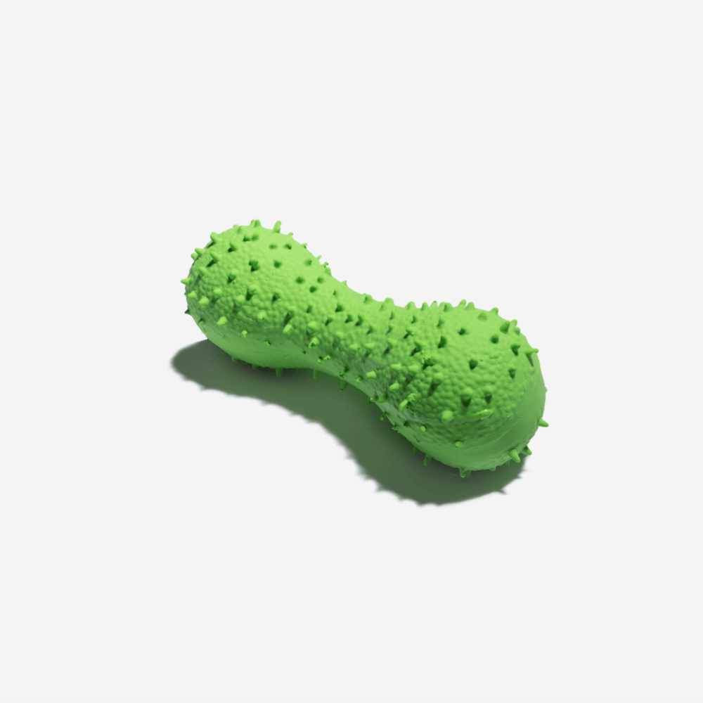 Cactus Shaped Squeaky Dog Toy - Mprsstore