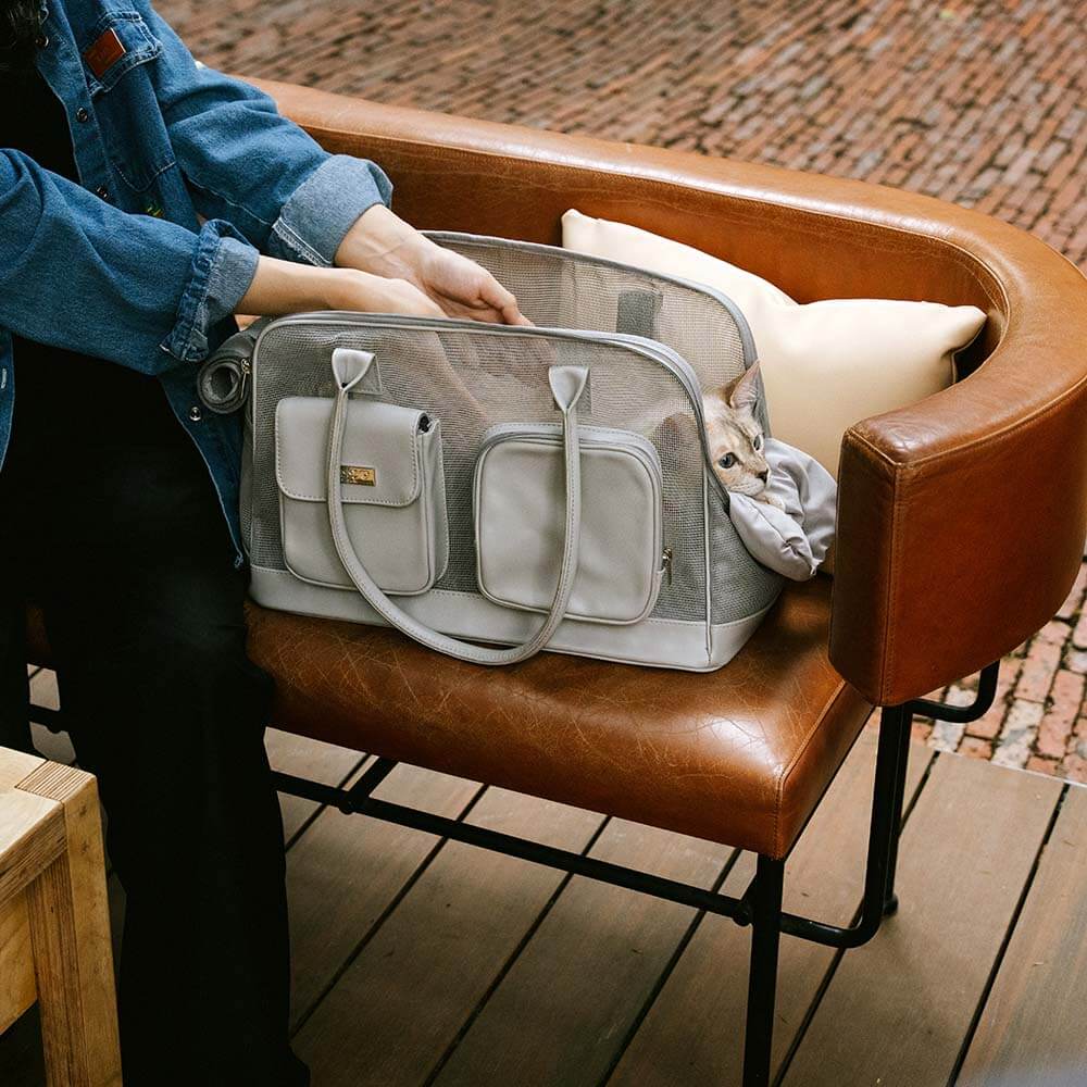 Lightweight Breathable Mesh Safe Pet Carrier - Mprsstore