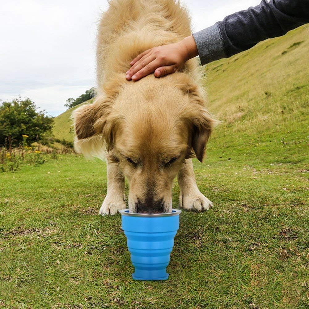 Collapsible Travel Cup for Pets
