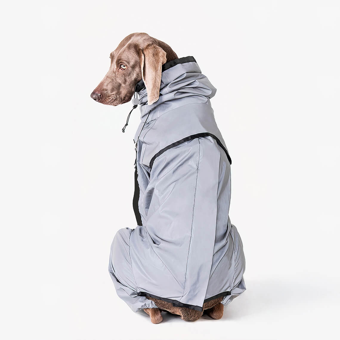 Waterproof Cool Dog Rain Coat