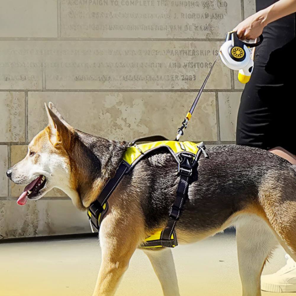 Automatic Explosion-Proof Retractable Dog Lead