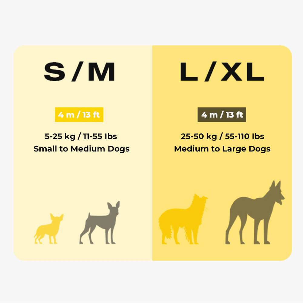 Automatic Explosion-Proof Retractable Dog Lead