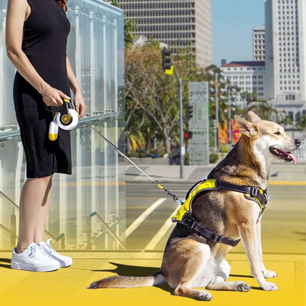Automatic Explosion-Proof Retractable Dog Lead