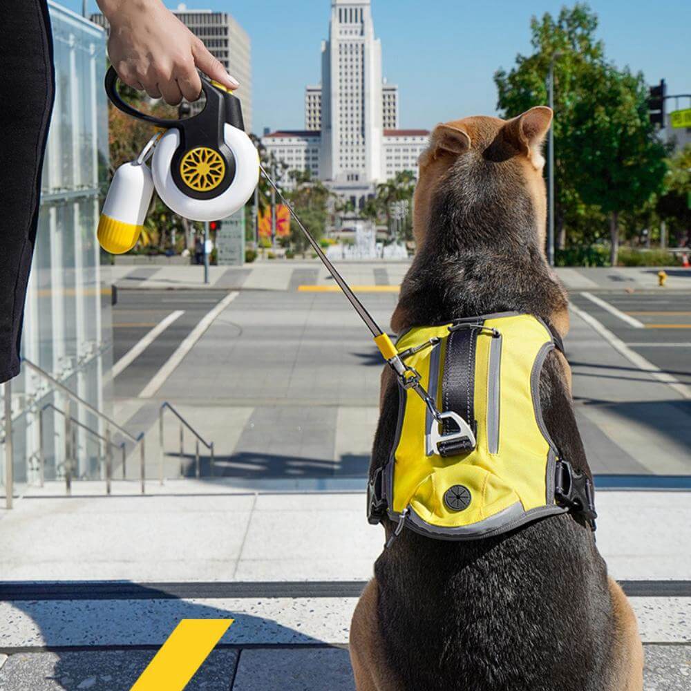 Automatic Explosion-Proof Retractable Dog Lead