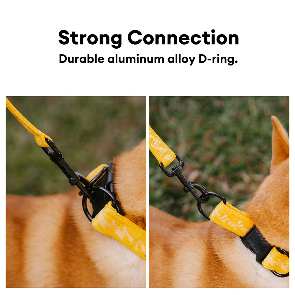 Adjustable Nylon Durable Dog Collar