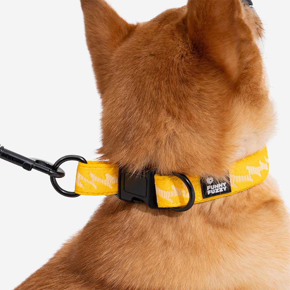Adjustable Nylon Durable Dog Collar