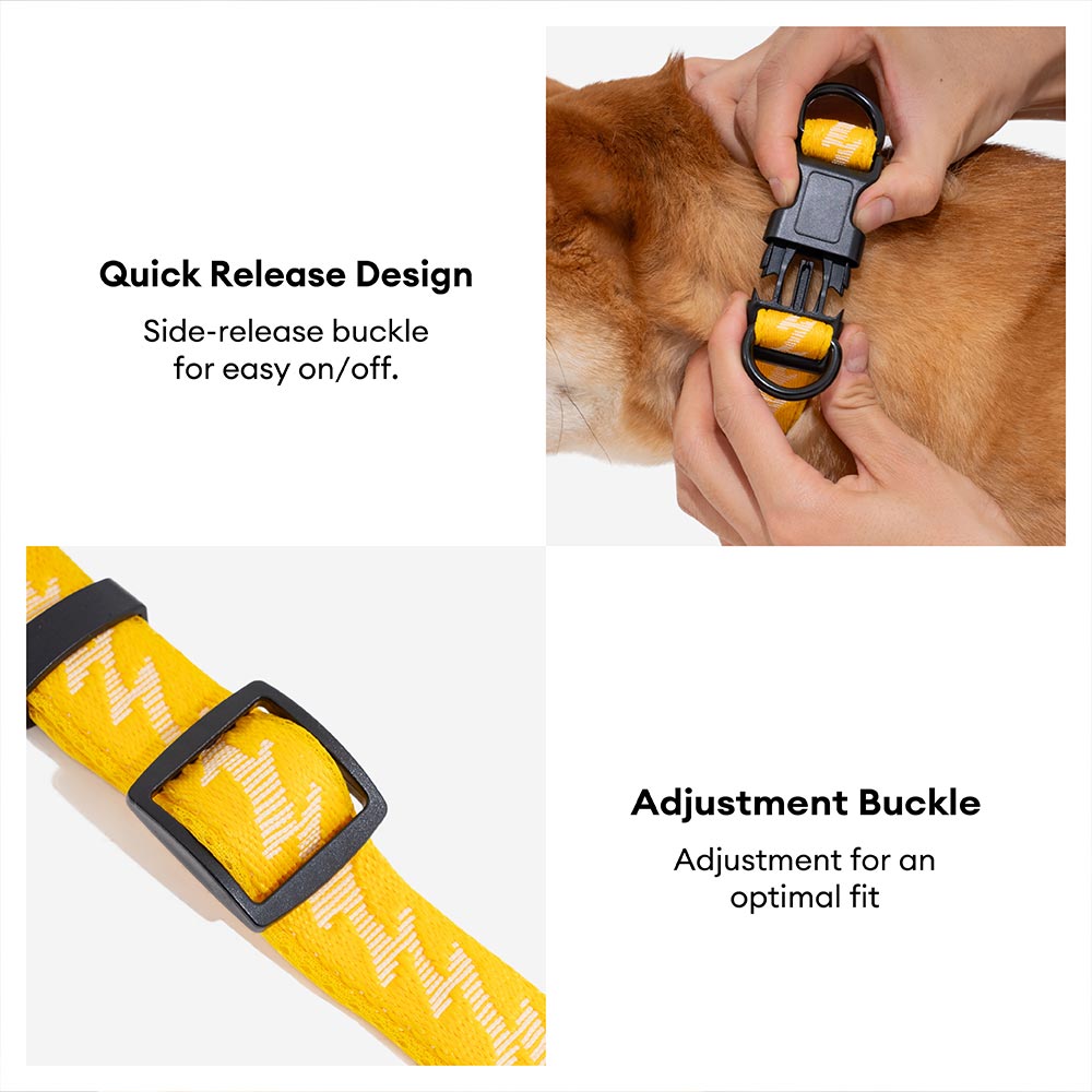 Adjustable Nylon Durable Dog Collar