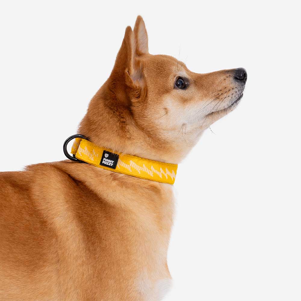 Adjustable Nylon Durable Dog Collar