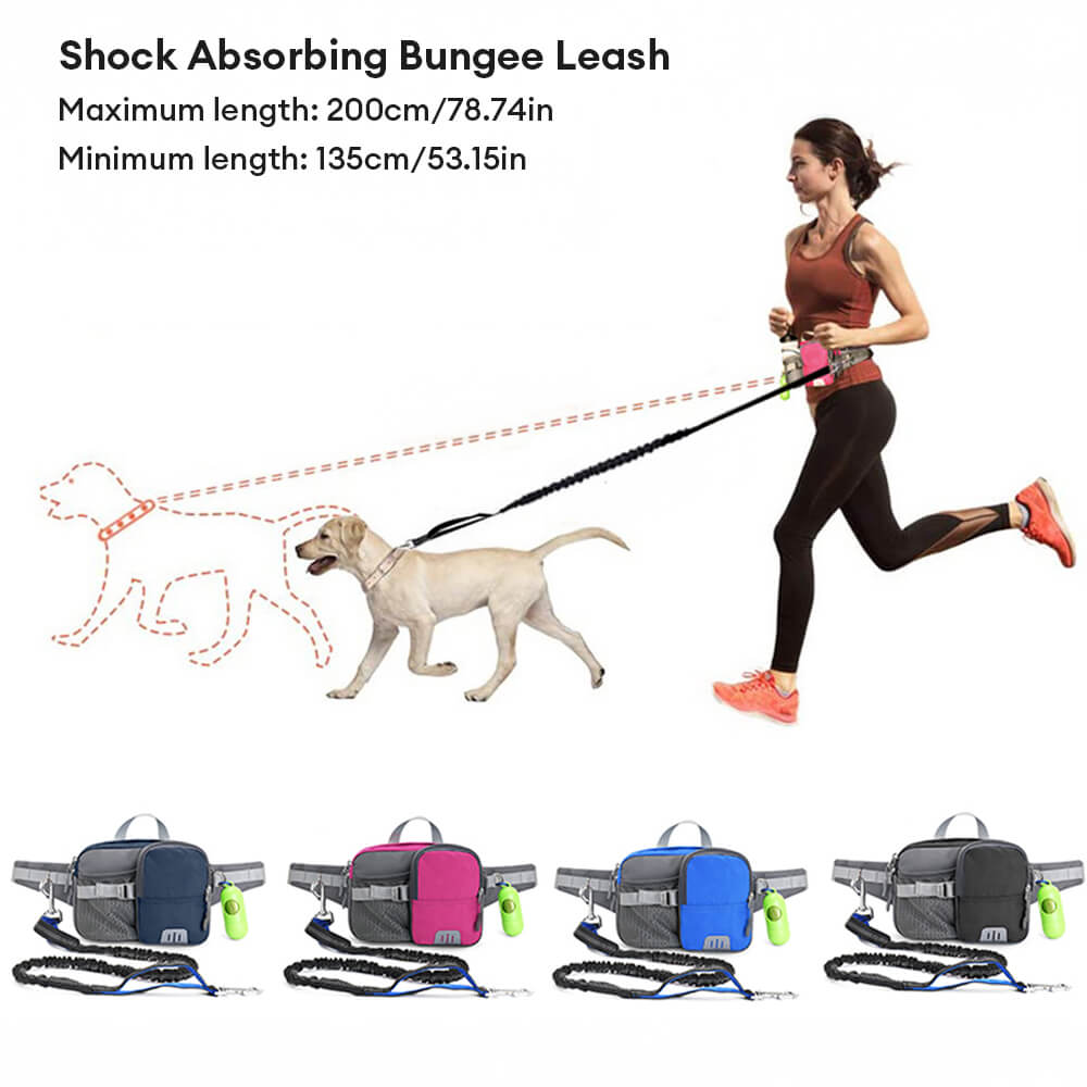 3 in 1 Multi-Function Lead Dog Training Waist Bag Set