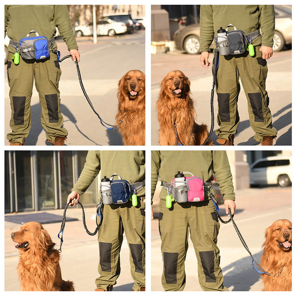 3 in 1 Multi-Function Lead Dog Training Waist Bag Set