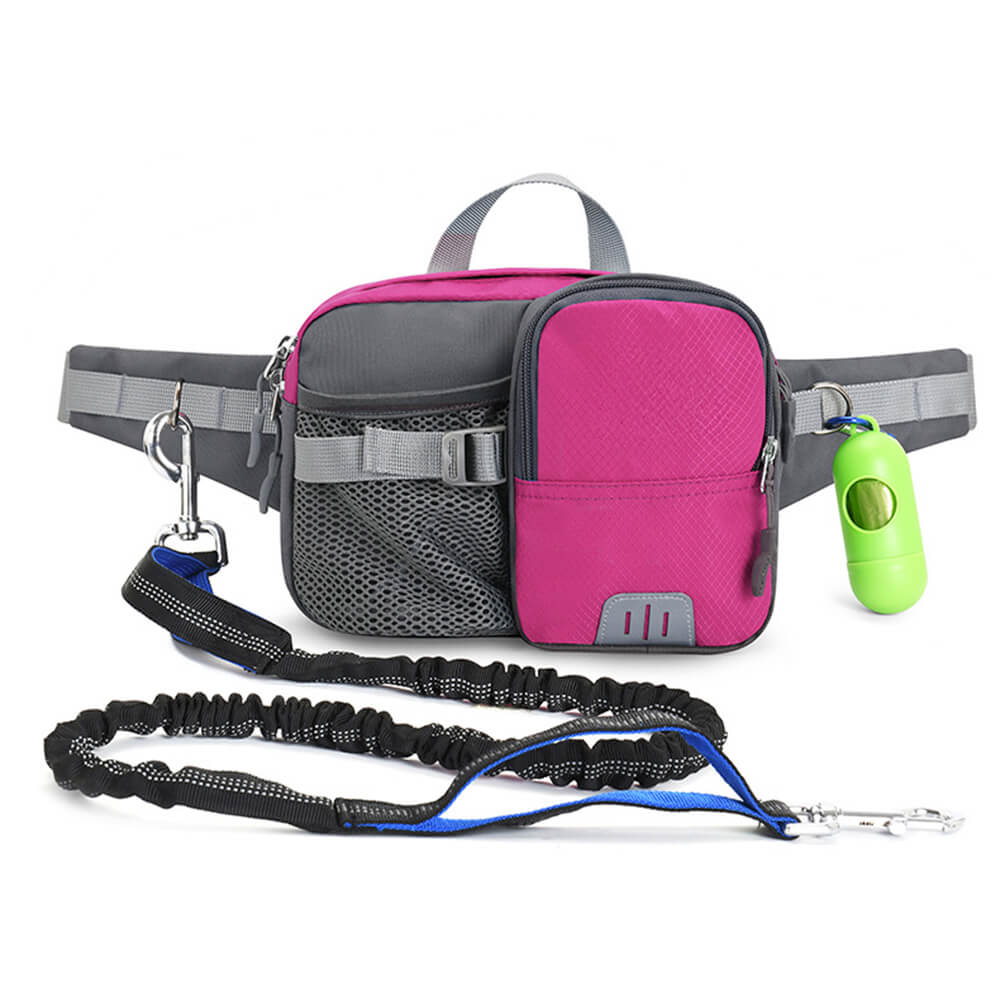 3 in 1 Multi-Function Lead Dog Training Waist Bag Set