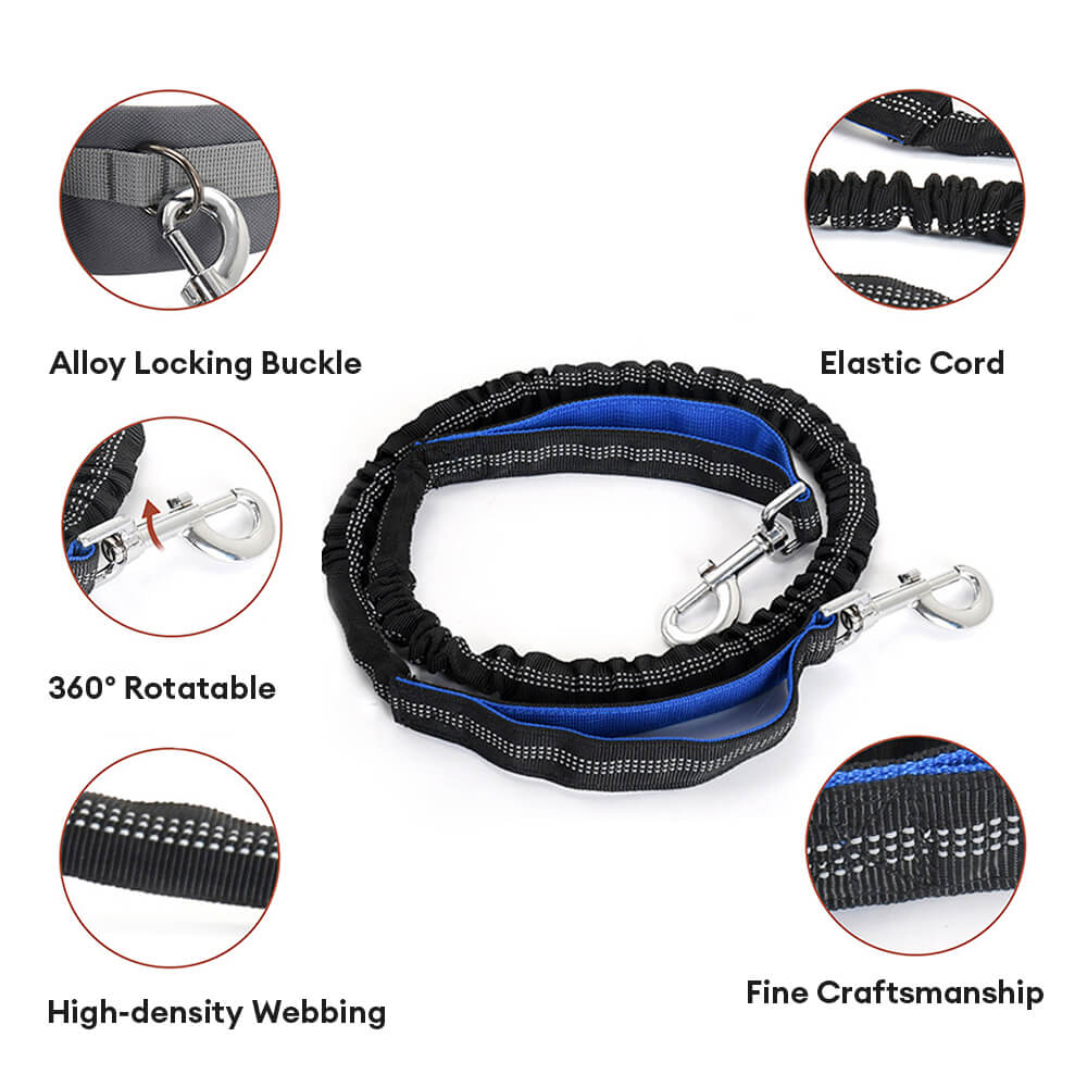 3 in 1 Multi-Function Lead Dog Training Waist Bag Set