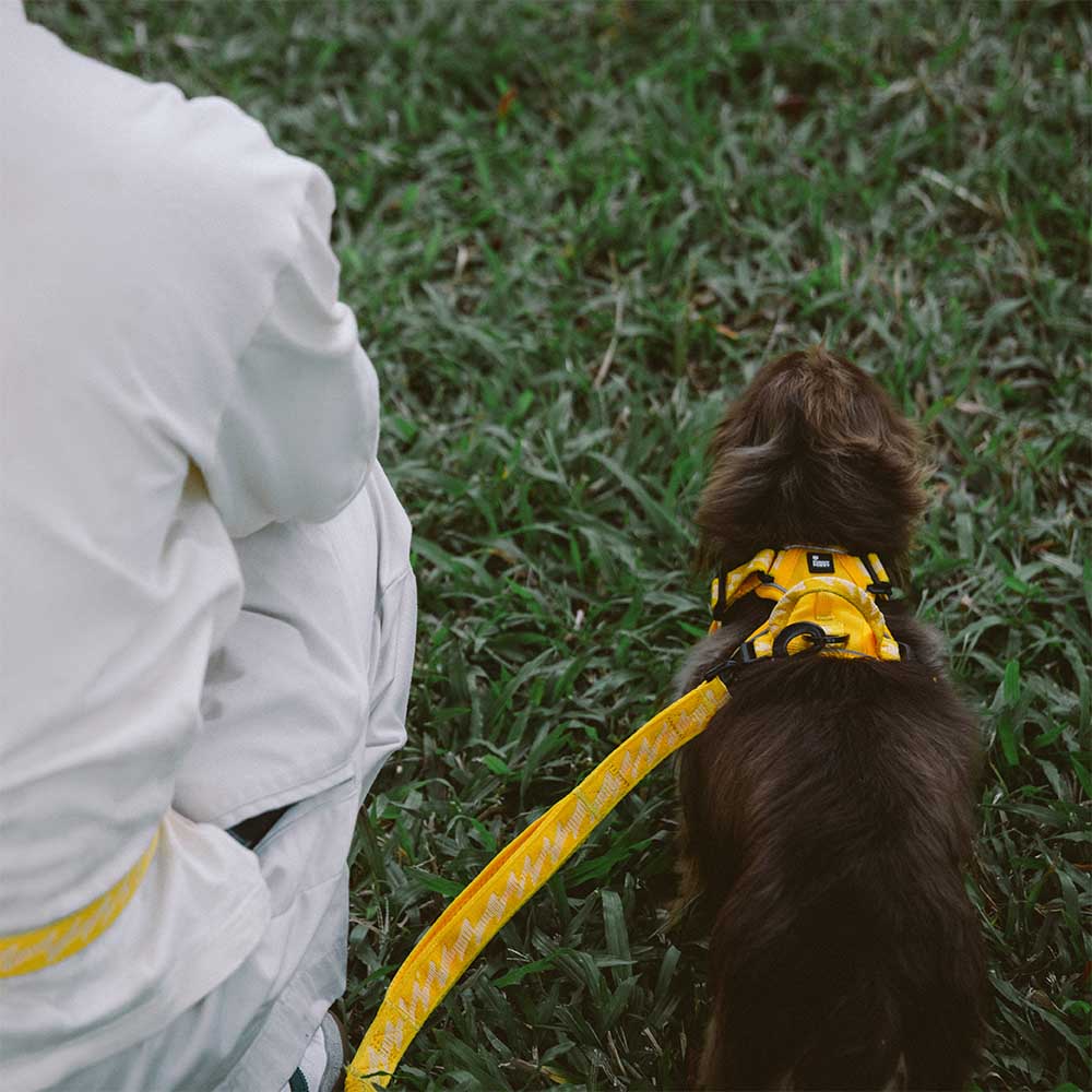 Reflective Adjustable Outdoor Dog Harness - Flexi Walker