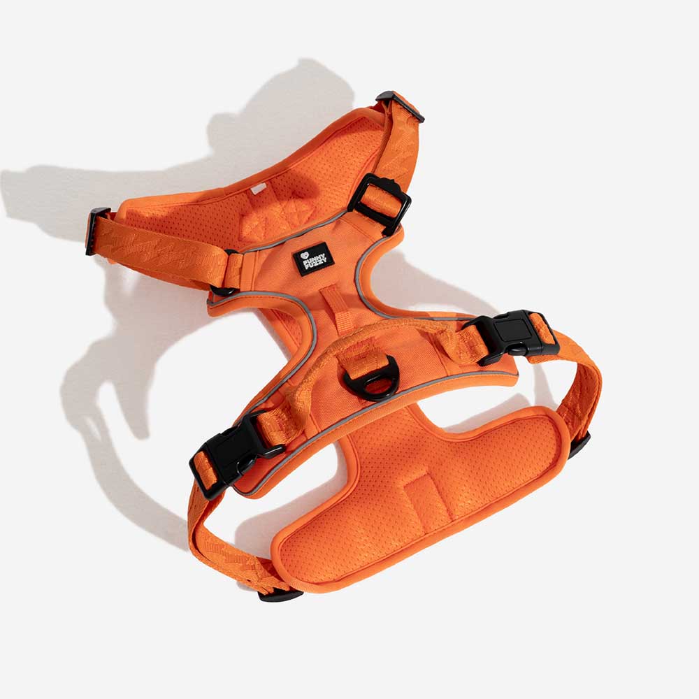 Reflective Adjustable Outdoor Dog Harness - Flexi Walker