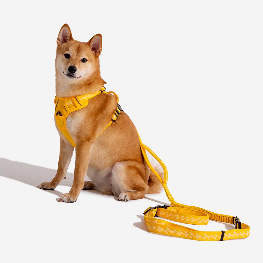 Reflective Adjustable Outdoor Dog Harness - Flexi Walker