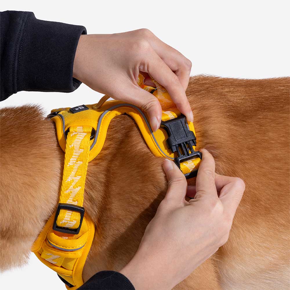 Reflective Adjustable Outdoor Dog Harness - Flexi Walker