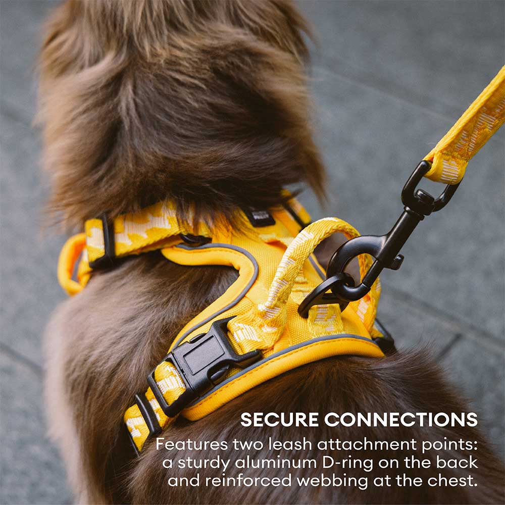 Reflective Adjustable Outdoor Dog Harness - Flexi Walker