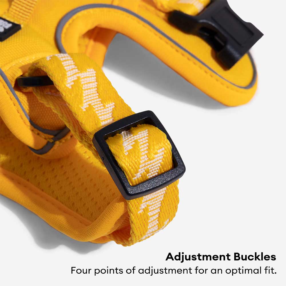 Reflective Adjustable Outdoor Dog Harness - Flexi Walker