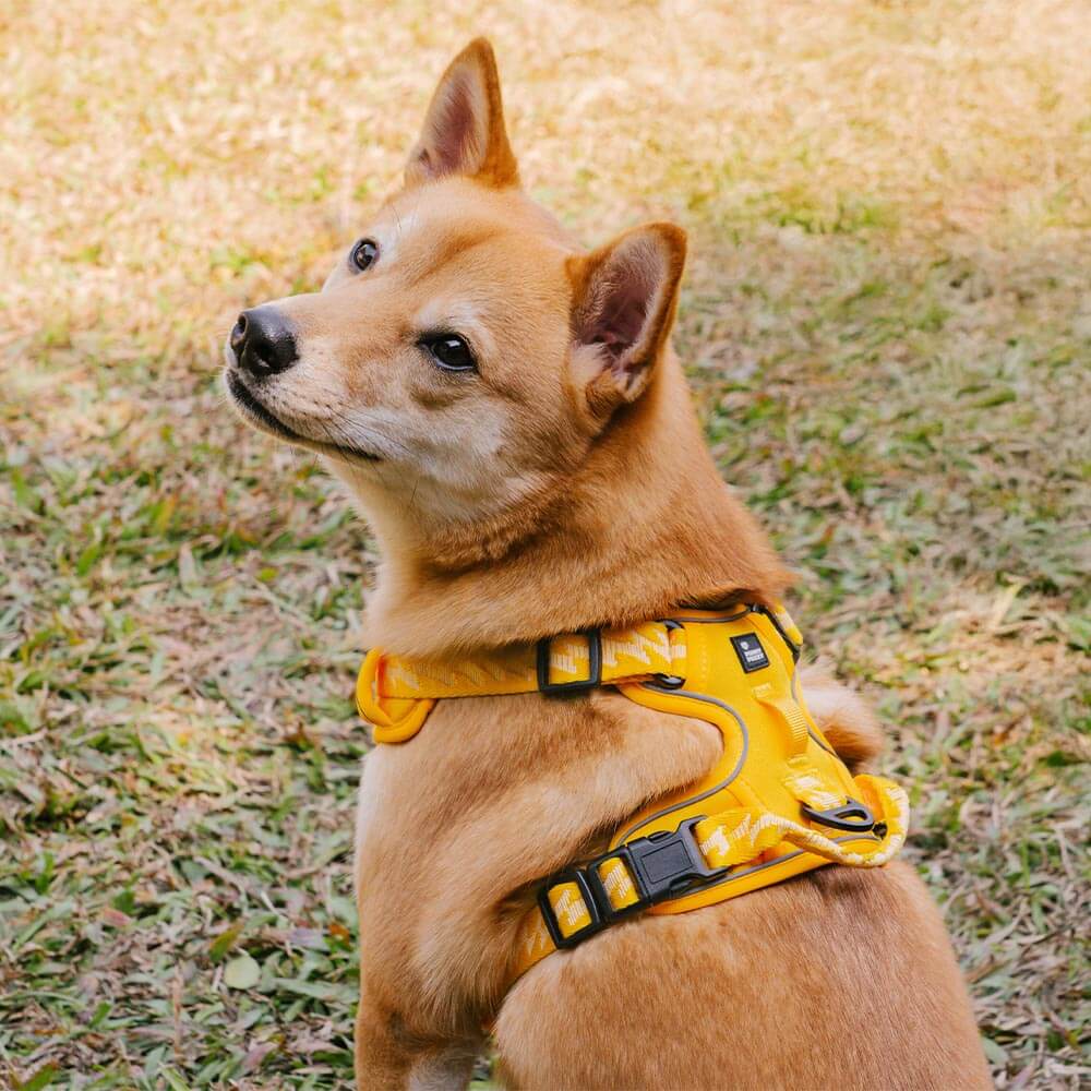 Reflective Adjustable Outdoor Dog Harness - Flexi Walker