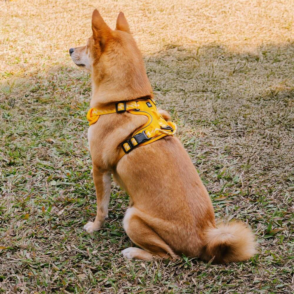 Reflective Adjustable Outdoor Dog Harness - Flexi Walker
