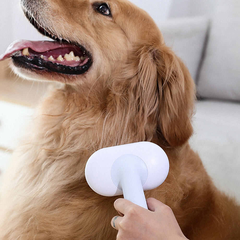 5 IN 1 Dogs & Cats Self-Cleaning Brush Pet Grooming Kit