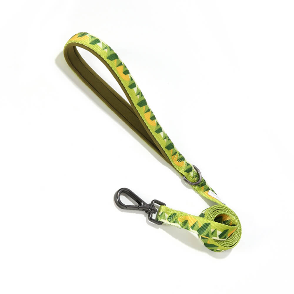 X-Shaped Adjustable Durable Dog Harness and Lead