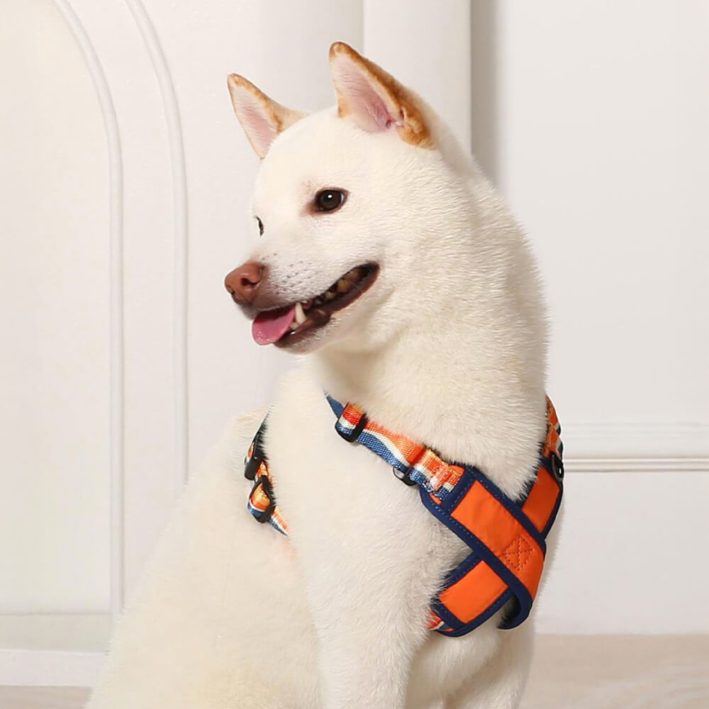 X-Shaped Adjustable Durable Dog Harness and Lead