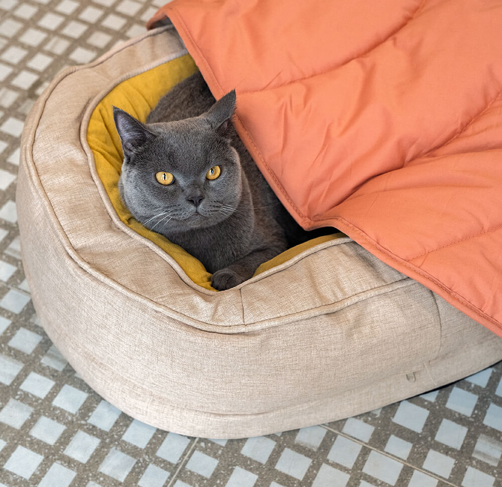 Donut Orthopedic Dog Bed - Mprsstore