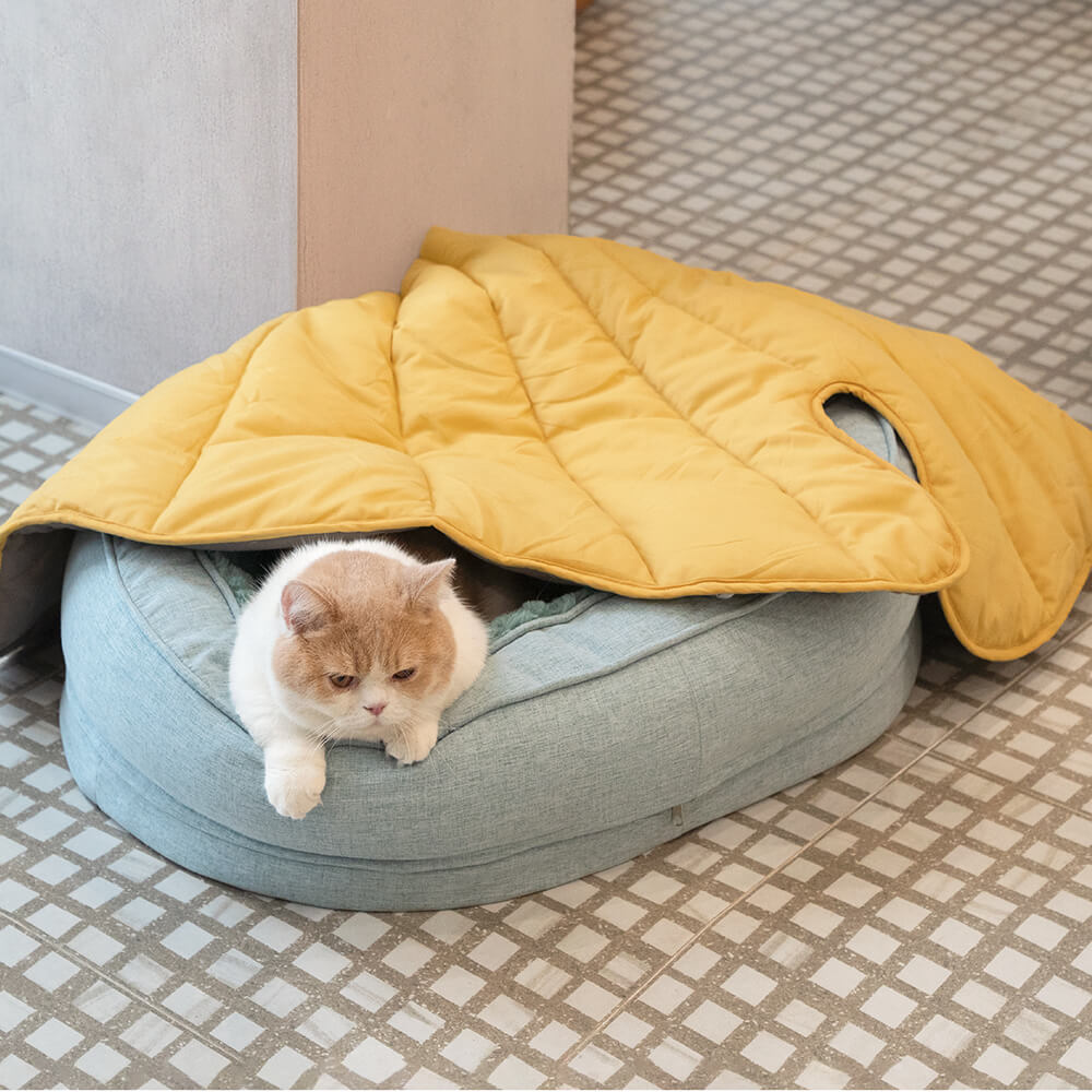 Donut Orthopedic Dog Bed - Mprsstore