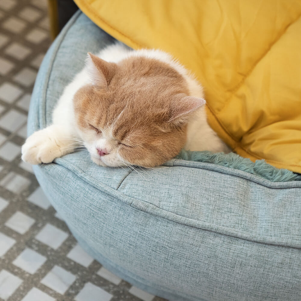 Donut Orthopedic Dog Bed - Mprsstore
