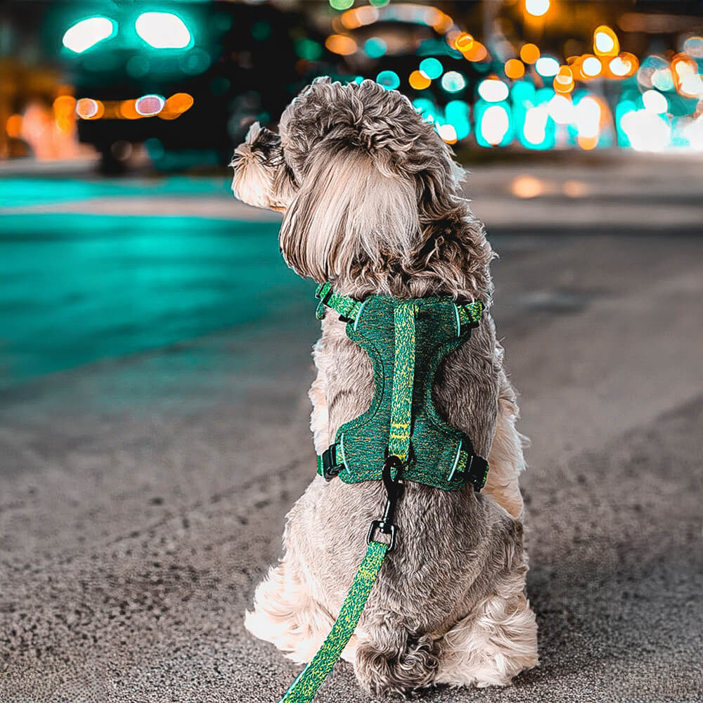 Recycled Fabric No-Pull Dog Harness/Lead