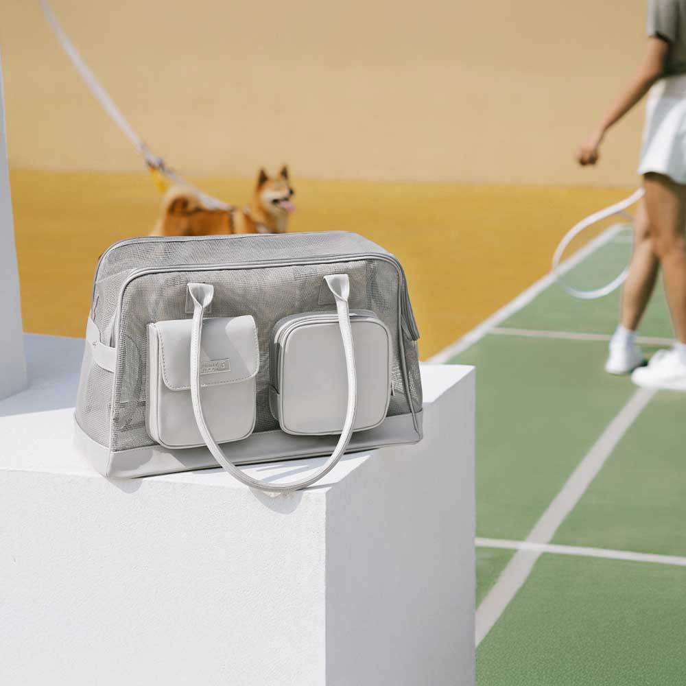 Lightweight Breathable Mesh Safe Pet Carrier - Mprsstore