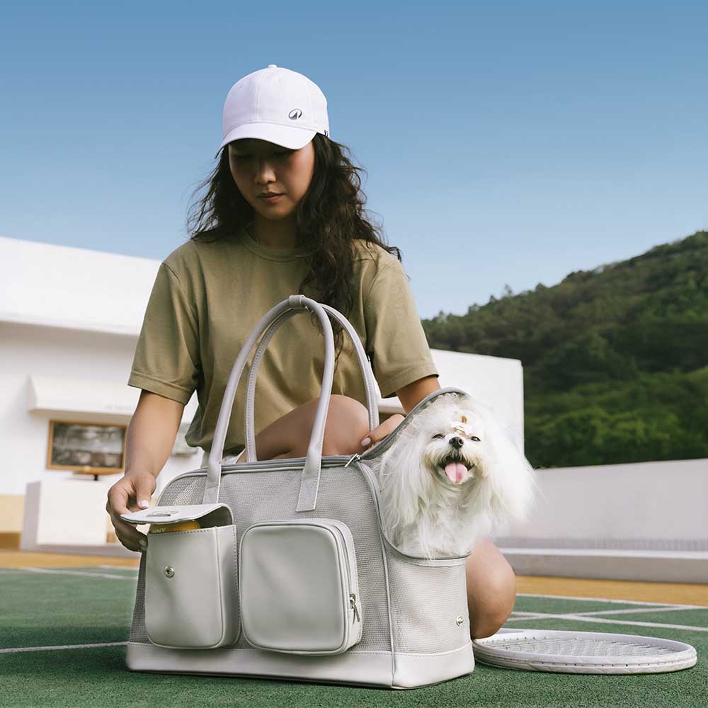 Lightweight Breathable Mesh Safe Pet Carrier - Mprsstore