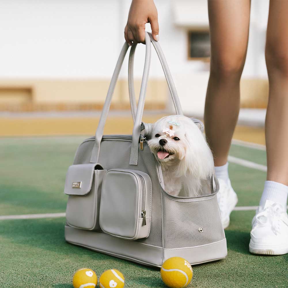 Lightweight Breathable Mesh Safe Pet Carrier - Mprsstore