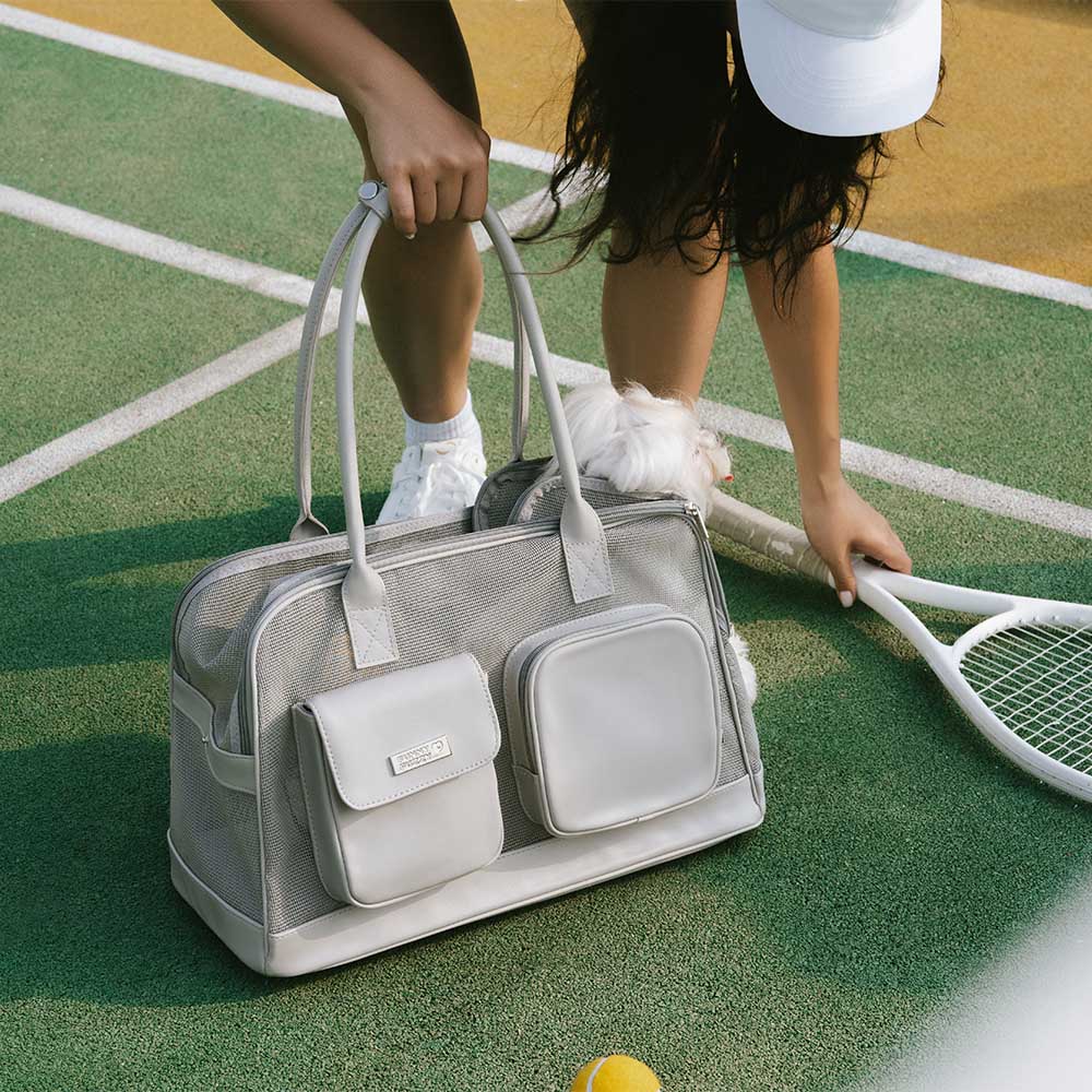 Lightweight Breathable Mesh Safe Pet Carrier - Mprsstore