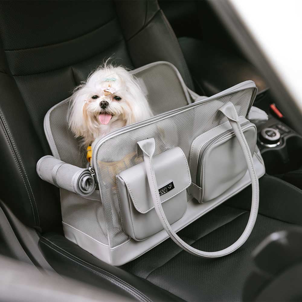 Lightweight Breathable Mesh Safe Pet Carrier - Mprsstore