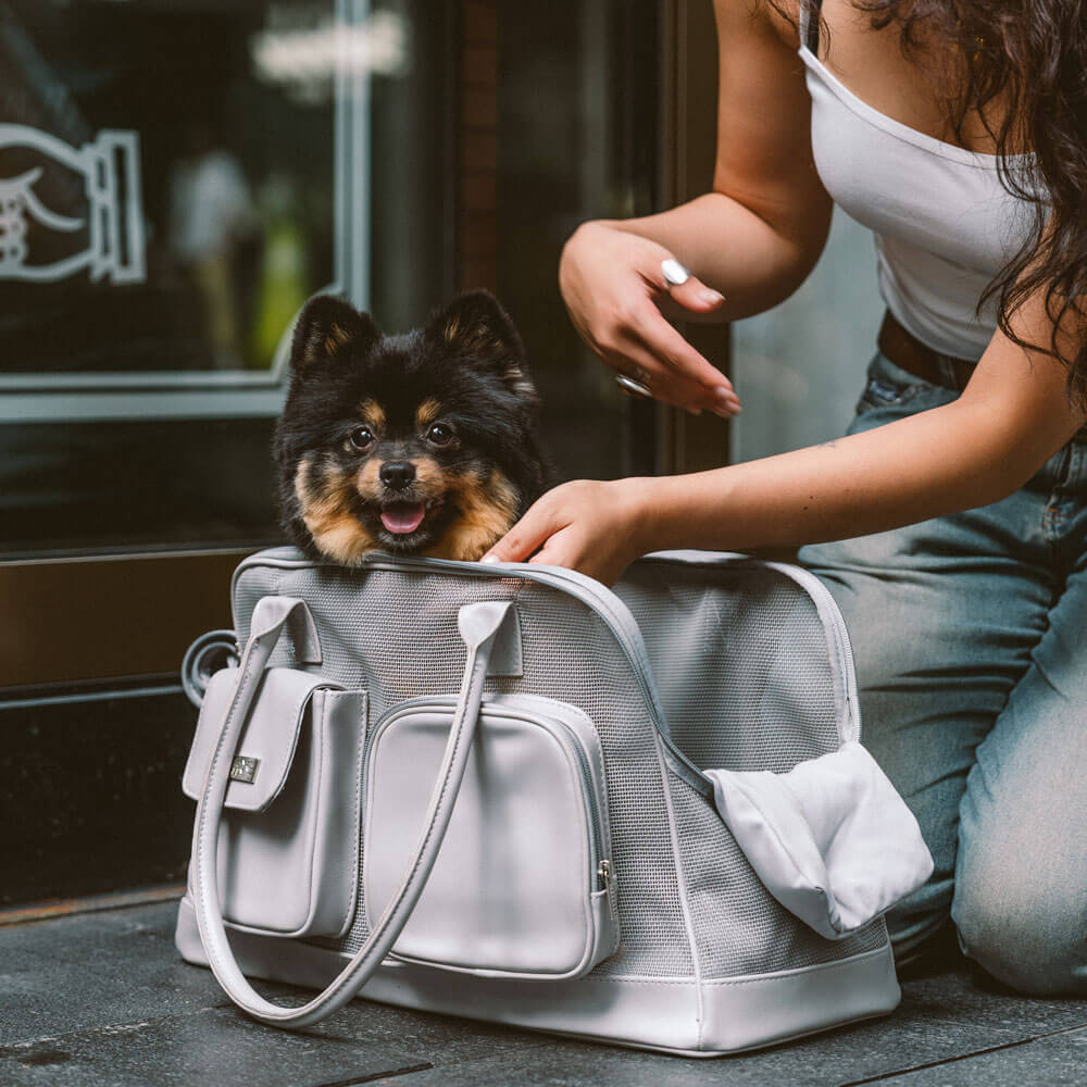 Lightweight Breathable Mesh Safe Pet Carrier - Mprsstore