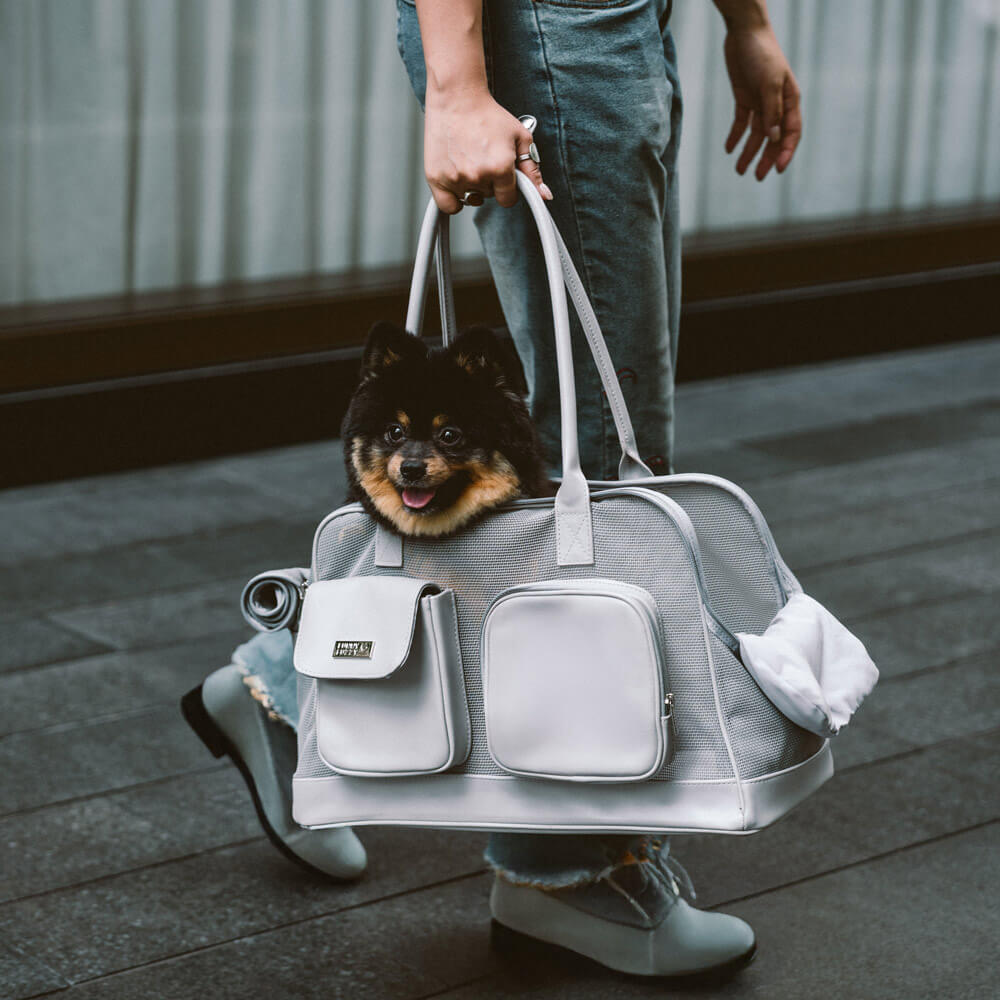 Lightweight Breathable Mesh Safe Pet Carrier - Mprsstore