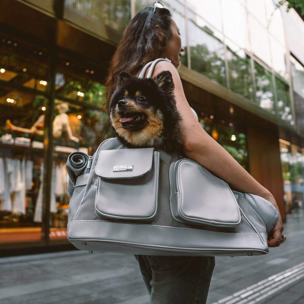 Lightweight Breathable Mesh Safe Pet Carrier - Mprsstore