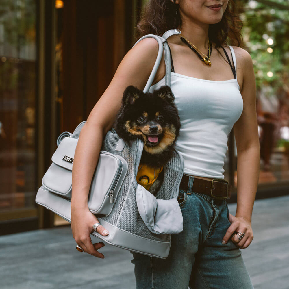 Lightweight Breathable Mesh Safe Pet Carrier - Mprsstore