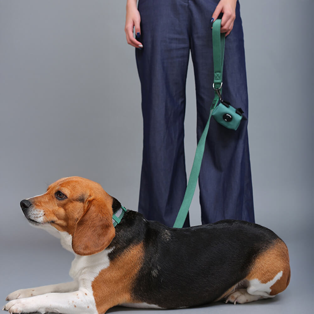 Nylon Adjustable Reflective No-Pull Dog Harness Collar and Lead