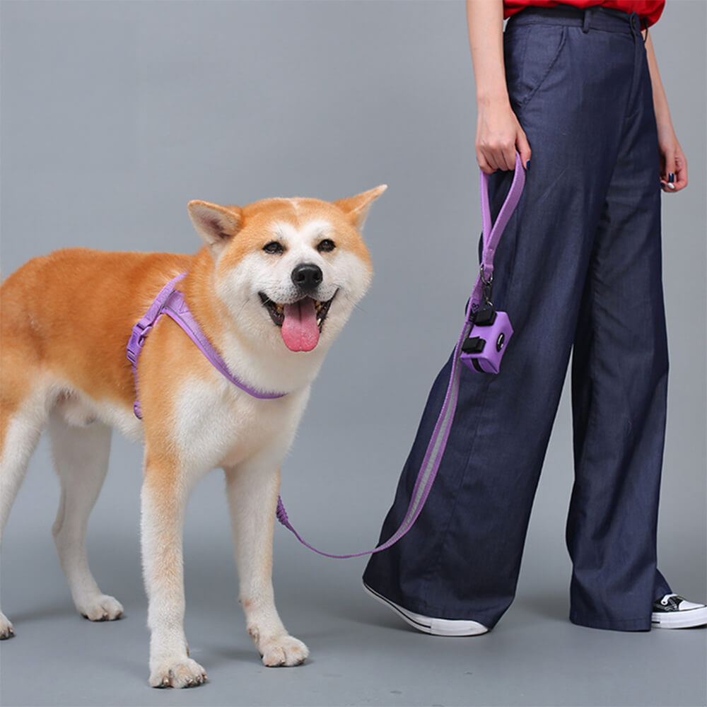 Nylon Adjustable Reflective No-Pull Dog Harness Collar and Lead