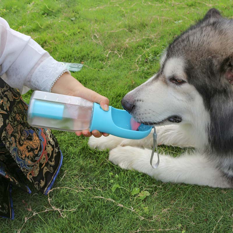 3 in 1 Multifunctional Portable Dog Walking Water Bottle - Mprsstore